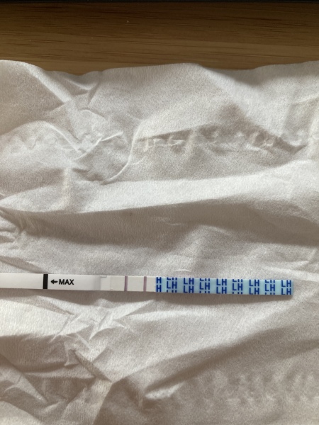 Letrozole and ovulations (LH) tests
