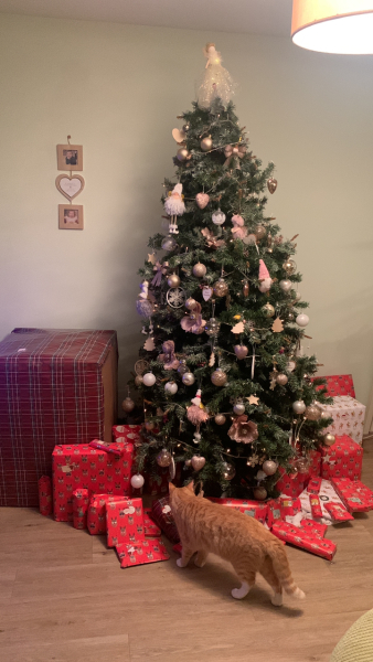 Show me your present pile