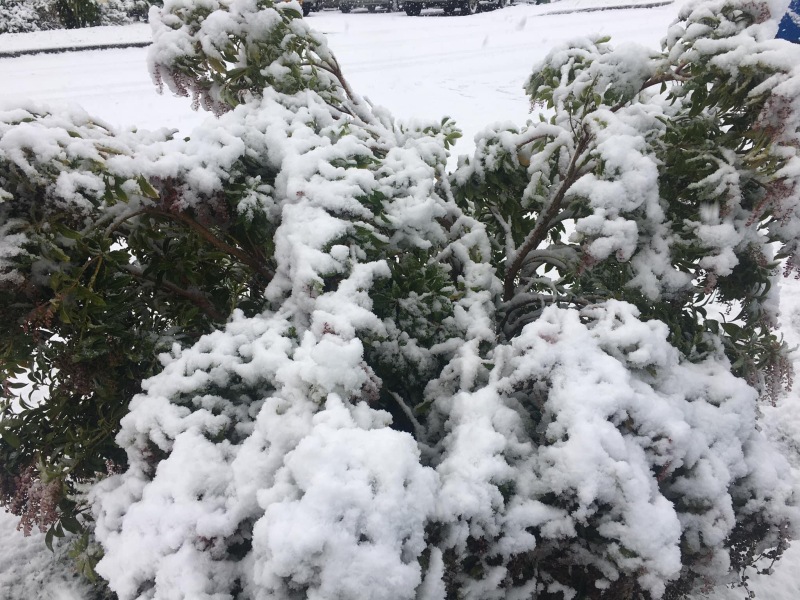 Hands up who's got snow, location and pictures please