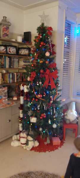 Show me your Christmas tree / decorations please. In need of inspiration