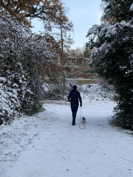 Puppy Survival Thread - as we approach Fireworks night for the first time…