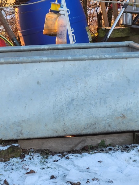 To feel sorry for people with horses?