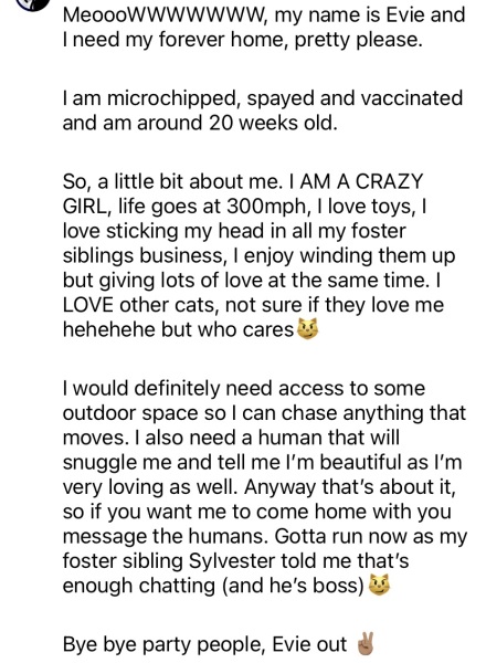 Does this sound like a good match for an older lady?