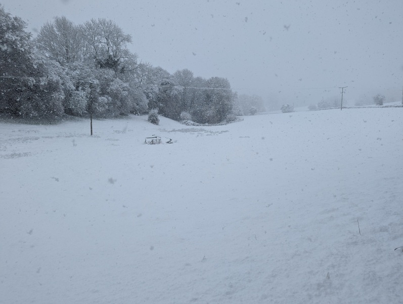 That schools should close tomorrow where it is snowyy...