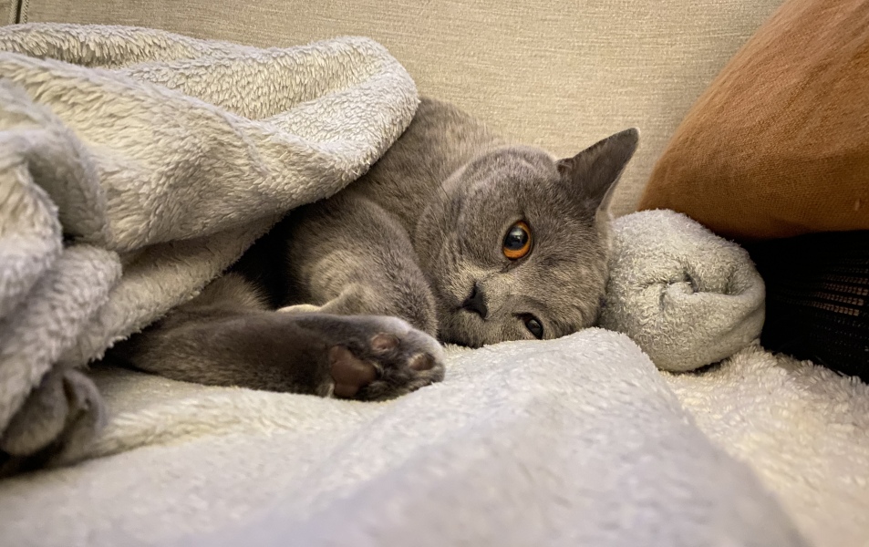 Thread 1 - Lifeboat Muster Point for TalkExiles