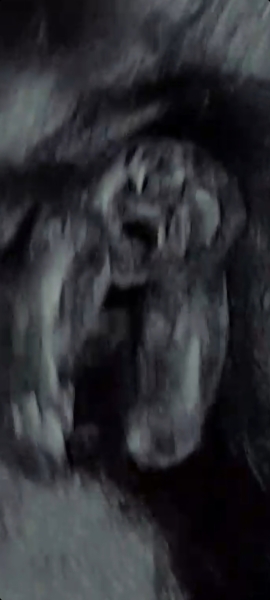 Potty shot... is this a boy or girl? See 5 photos!
