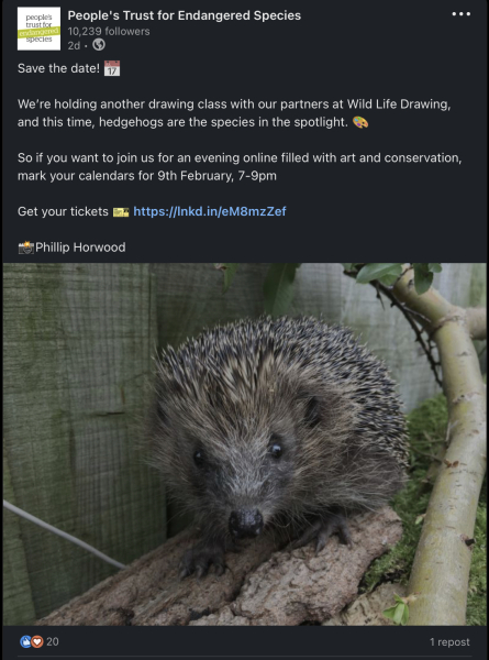 To ask you to please help hedgehogs and other wildlife prepare for winter