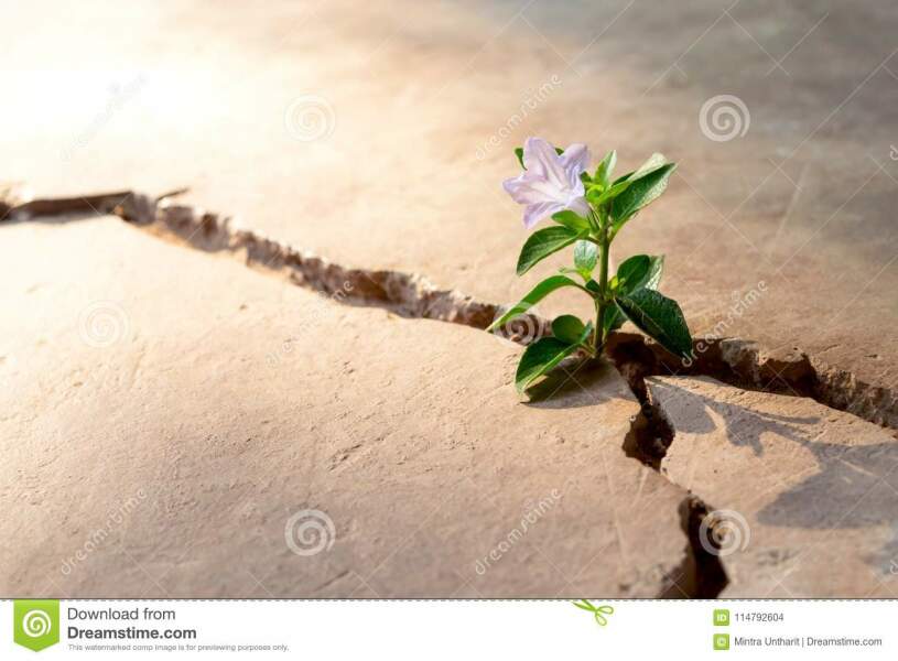 Any Witches Here?- Part 17.