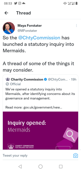 Brilliant Twitter thread by Maya Forstater on Mermaids enquiry 