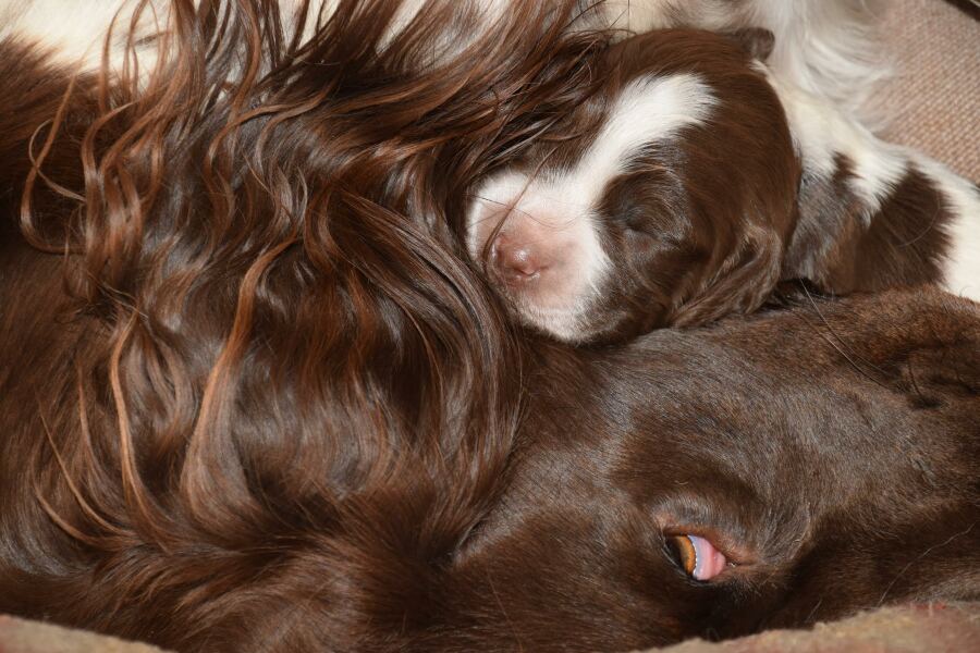 Lifeboat Muster Point for TalkExiles - Thread 2