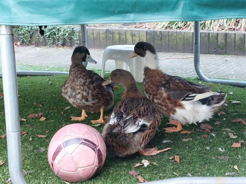 Ukraine Invasion: Part 36