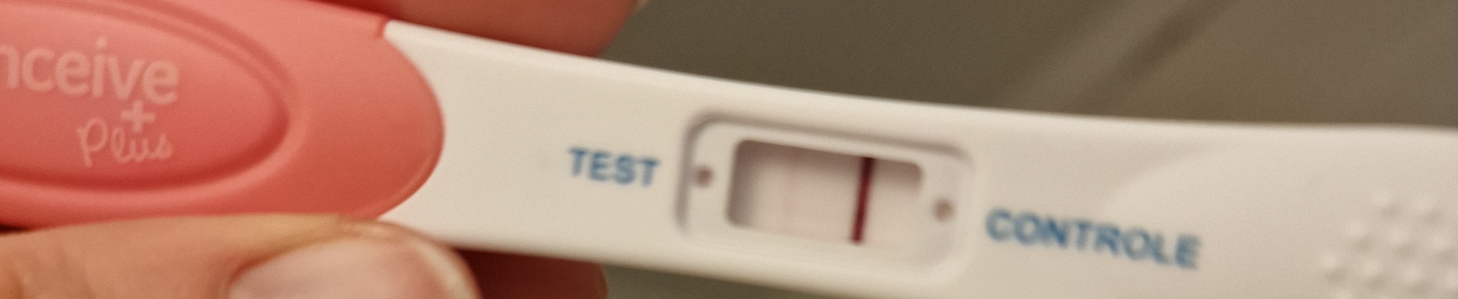 All I want for Christmas is a BFP- TTC September baby 🍁