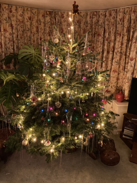 What colour lights do you have on your tree?