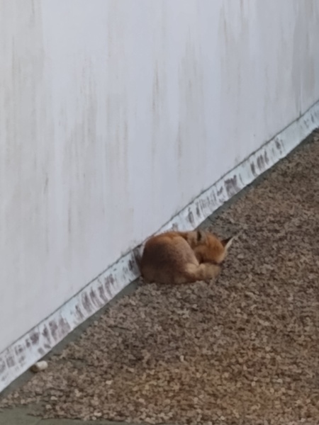 Lifeboat Muster Point for TalkExiles - Thread 2