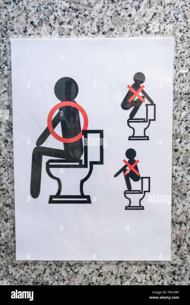 To ask if squatting on the toilet to do your business is really a thing?