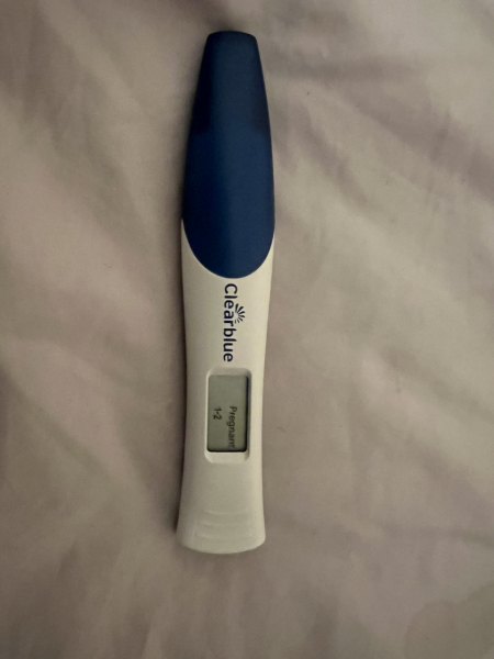 All I want for Christmas is a BFP- TTC September baby 🍁