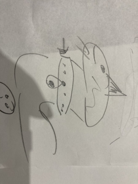 Pictionary- what is it?