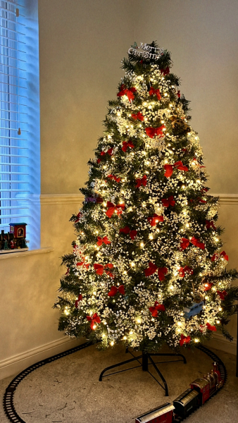 Show me your Christmas tree / decorations please. In need of inspiration