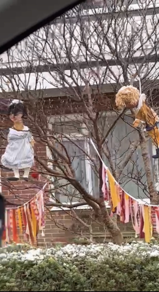 Weird dolls hanging on neighbours tree?