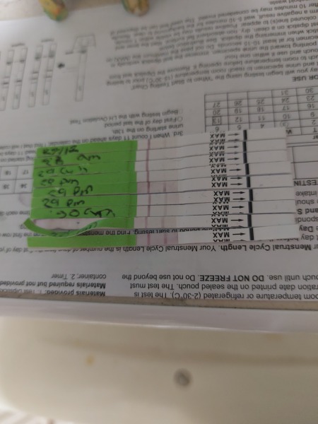 Positive ovulation test?