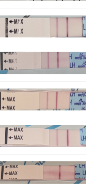 All I want for Christmas is a BFP- TTC September baby 🍁