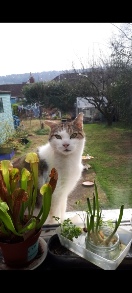 Thread 1 - Lifeboat Muster Point for TalkExiles