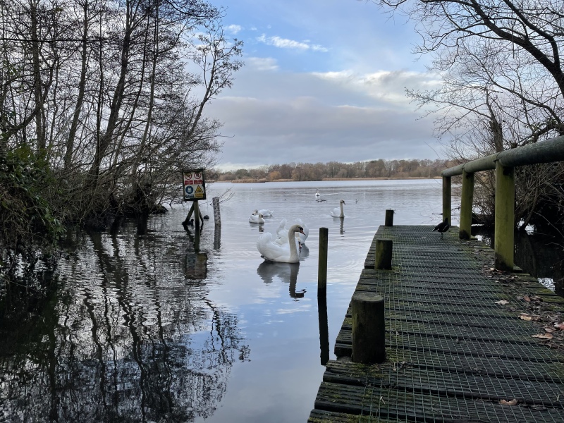 Come chat hiking with me!