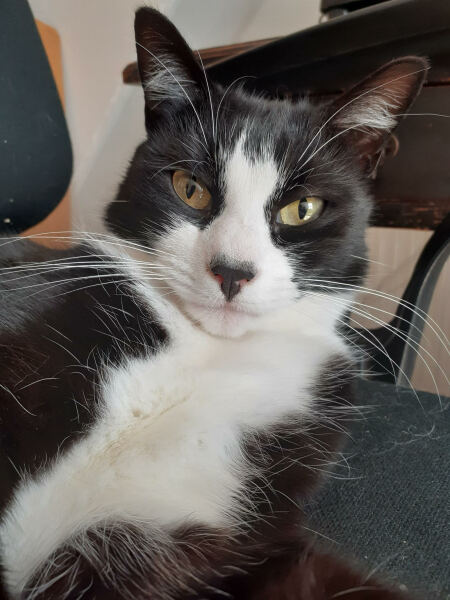 Lifeboat Muster Point for TalkExiles - Thread 2