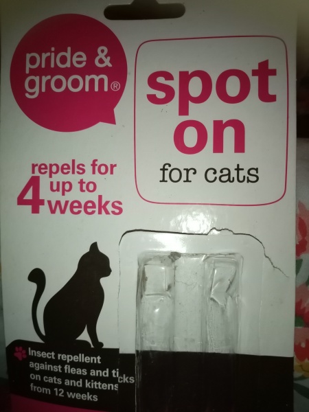 URGENT: flea treatment advice