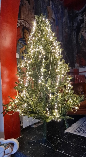 What colour lights do you have on your tree?