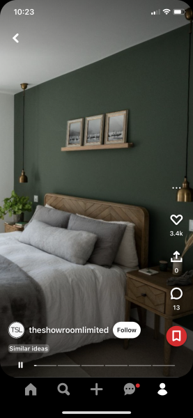 Can anyone recommend a green paint? 