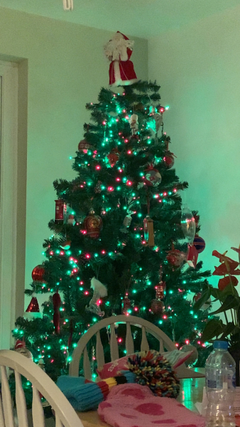What colour lights do you have on your tree?