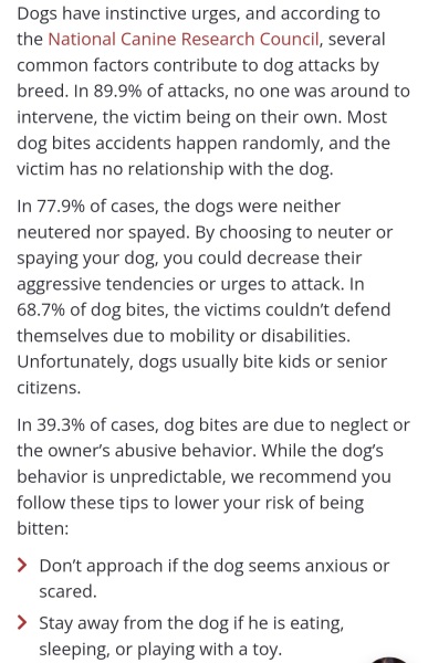 Is this sleeping arrangement safe? (Child and Dog related)