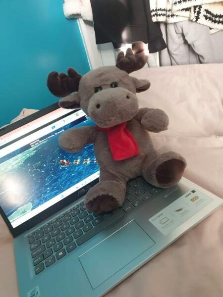 It's extremely unlikely but; has anyone seen a cuddly reindeer similar to the one in my pic, anywhere?