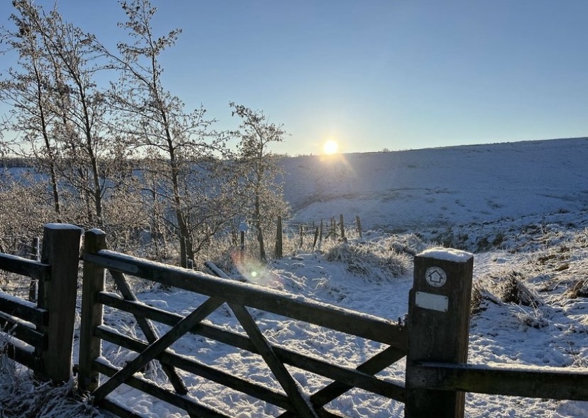 Countdown to Christmas 2022: the final straight (thread 4)