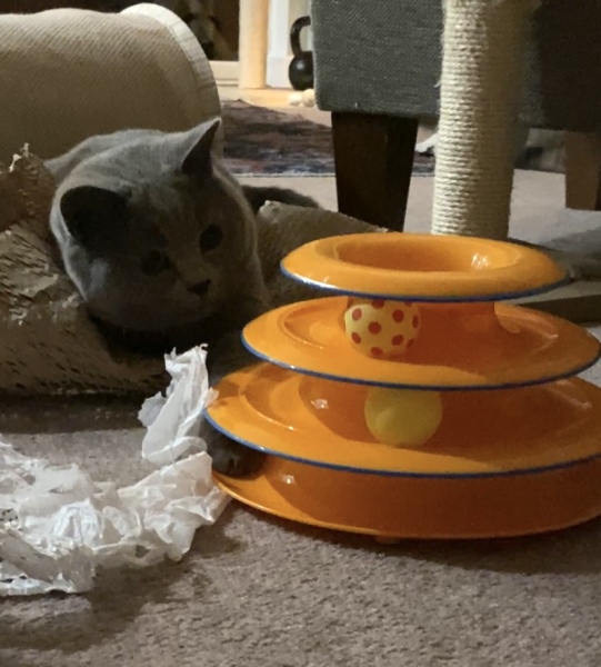 Thread 3 - TalkExiles: "The Planet Goes On Being Round"