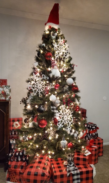Festive Fledglings are Flying into December