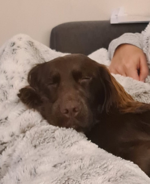 To love to sniff the top of my dog's head?