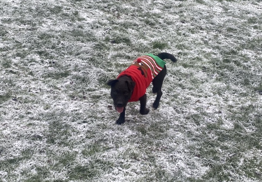 Lifeboat Muster Point for TalkExiles - Thread 2