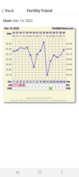 BBT charting...those who are experienced please help!