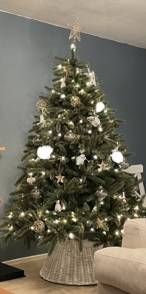 Show me your Christmas tree / decorations please. In need of inspiration