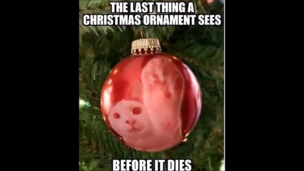 How to get kitten out of bloody Xmas tree