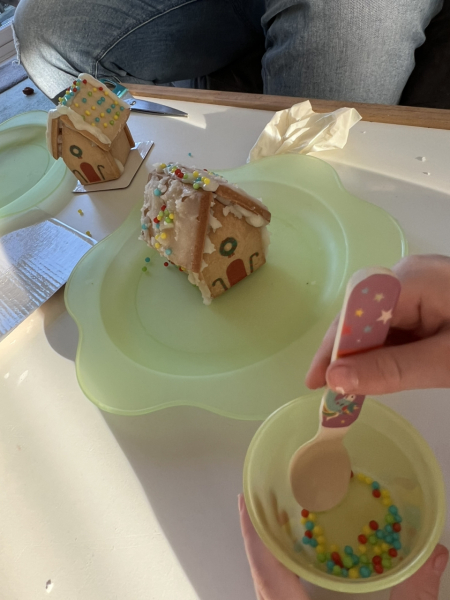 Anyone want to share gingerbread house pics? 