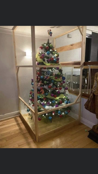 How to get kitten out of bloody Xmas tree