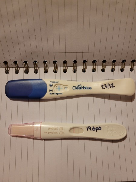 Due end of Aug/Sept babies 🤞🏻
