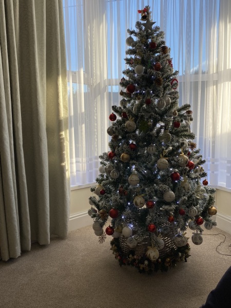 Show me your Christmas tree / decorations please. In need of inspiration