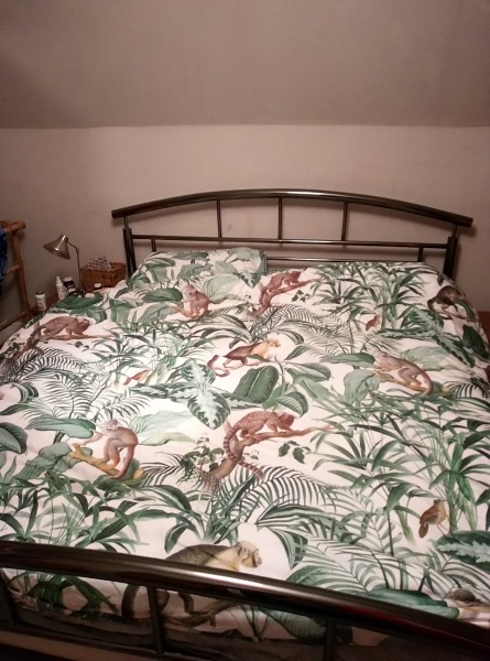 Please can we have a thread to show pictures of our favourite things in our houses?  
