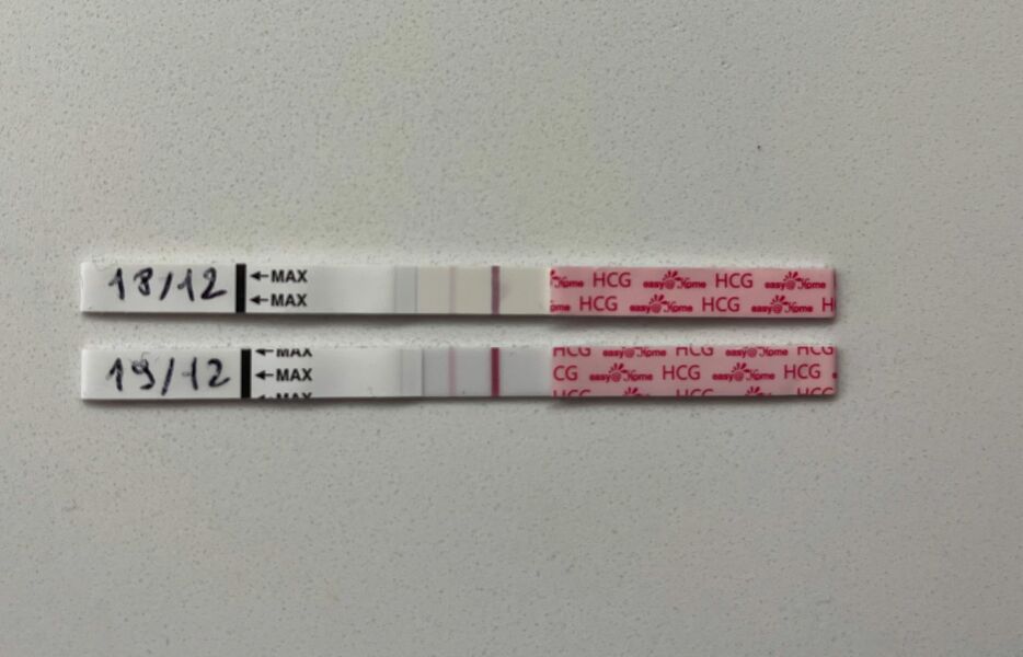 Due August 2023 (Thread 3)