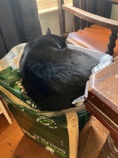 Lifeboat Muster Point for TalkExiles - Thread 2