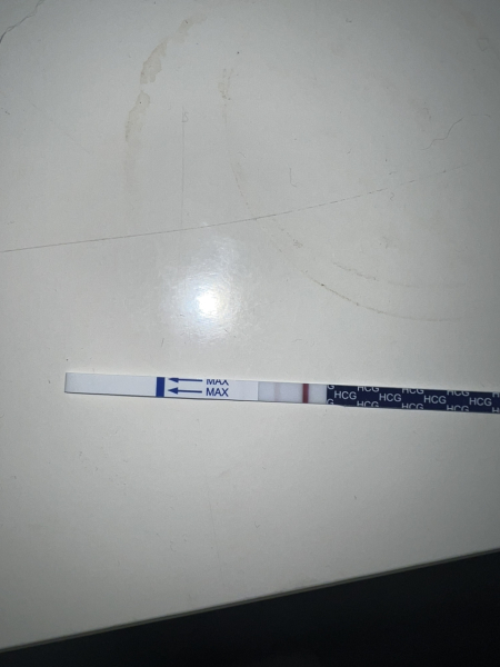 Day period is due but nothing yet, praying I'm pregnant!
